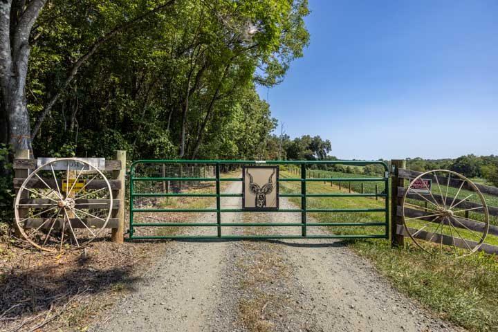 Green farm gate with wagon wheels at the entrance