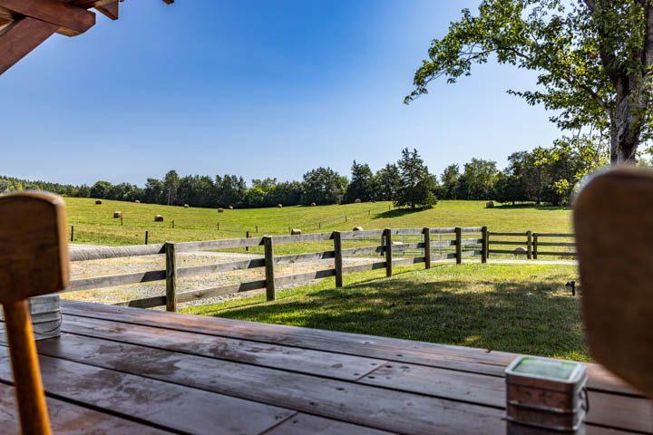 View from the pavilion bar across the pasture