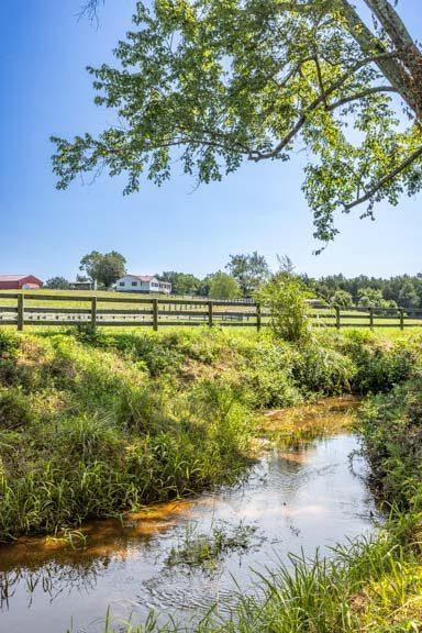 Stream running along the edge of the pasture