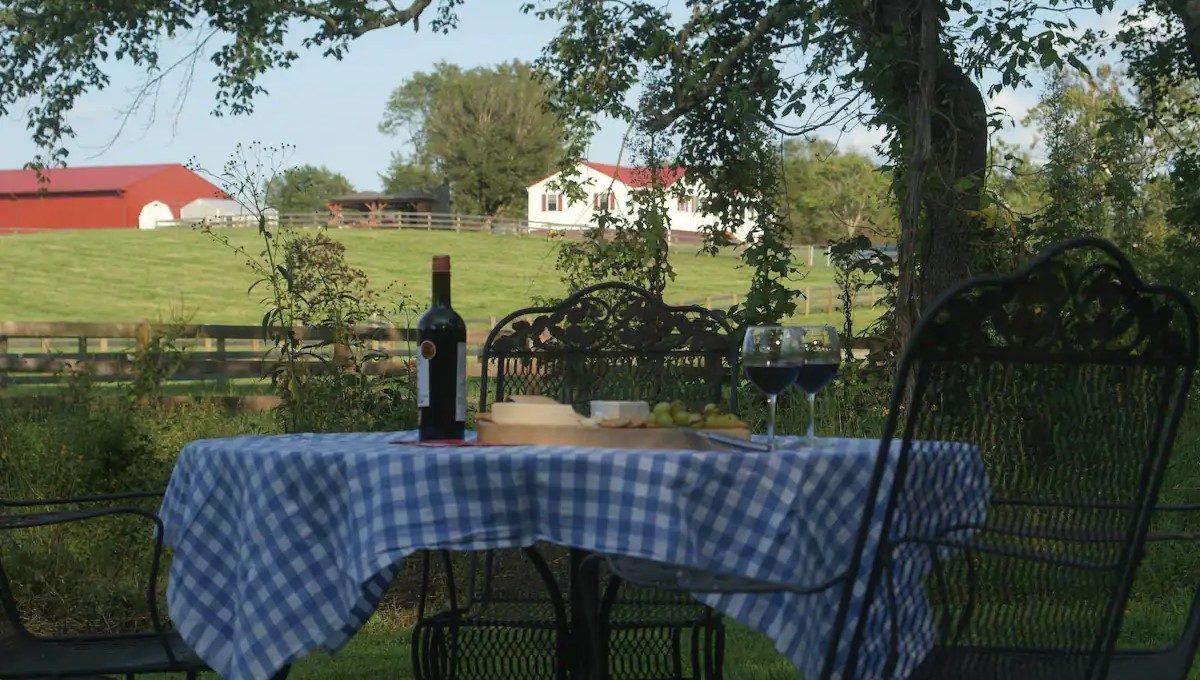 A table set with wine under a shade tree, with the farm buildings across the pasture